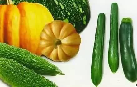 免费请吃瓜的说说,揭秘网络热传的神秘现象  第2张